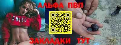 стаф Можга