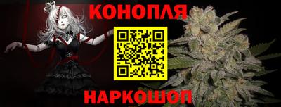 стаф Можга