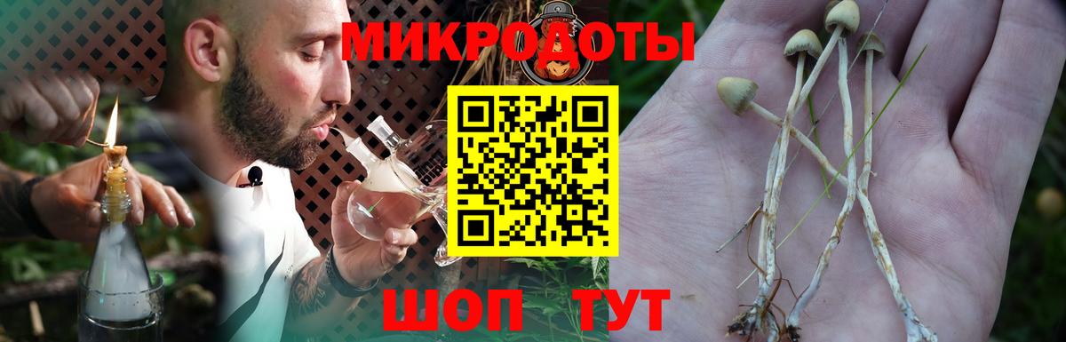 Псилоцибиновые грибы Psilocybe  Галлюциногенные грибы Cubensis  Усолье-Сибирское  Вход с VPN 